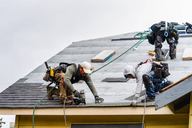 Professional Emergency Roof Repair technician working in Prophetstown, IL